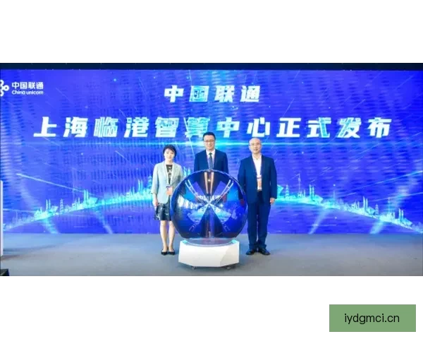 中国x站：数字时代的心跳，连接世界的脉搏